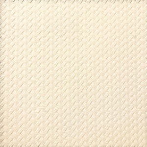 ATAQ-P208523